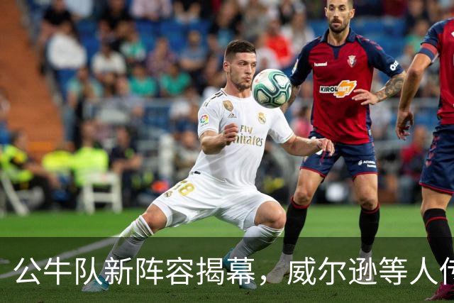 公牛队新阵容揭幕，威尔逊等人传递阵营荣耀！