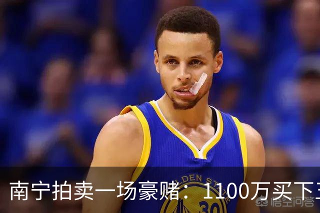 南宁拍卖一场豪赌：1100万买下五千多万的梦