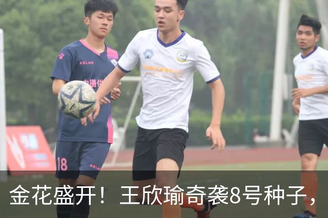 金花盛开！王欣瑜奇袭8号种子，马烨欣干脆送蛋逆转！